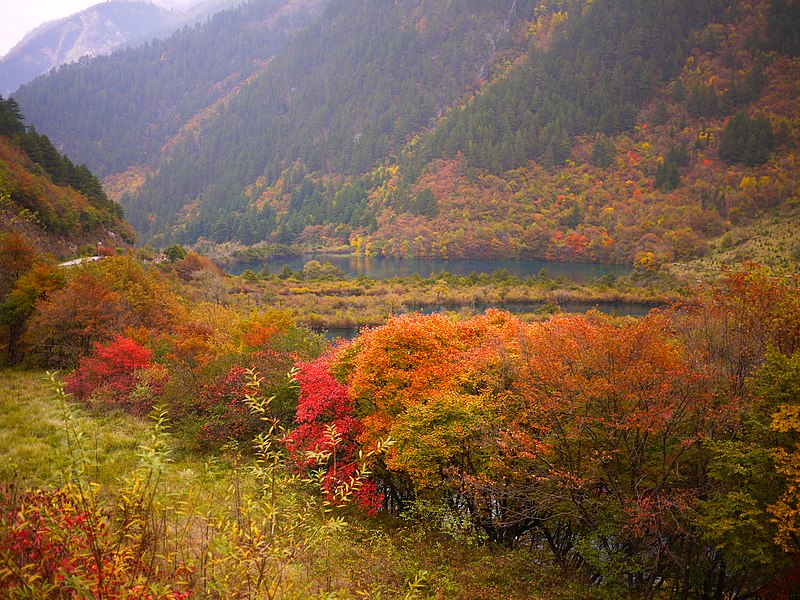 চিত্র:九寨溝-樹正群海 Jiuzhaigou Shuzheng Lakes.jpg