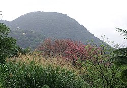 紗帽山 Shamao Mountain - panoramio.jpg