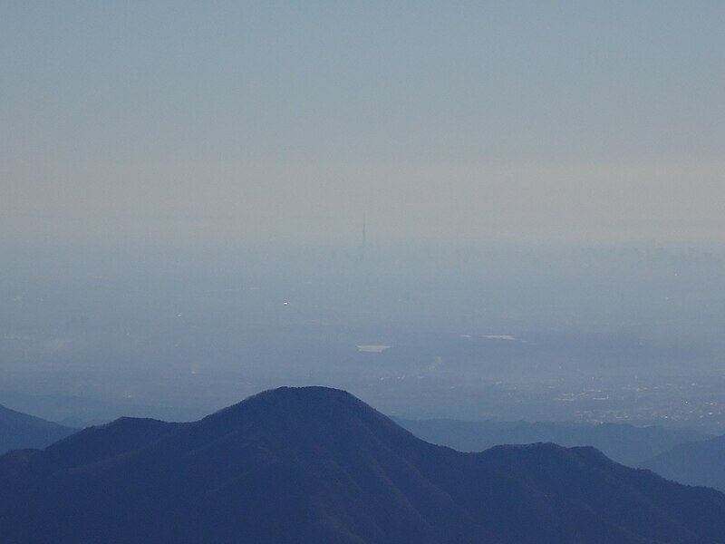 ファイル:雲取山からの東京スカイツリー.jpg