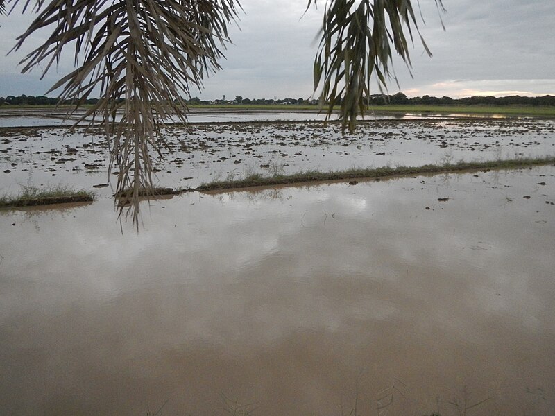 File:09635jfSunset Tomas Welcome San Luis Pampanga River Roadsfvf 20.JPG