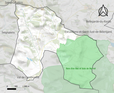 Carte de la ZNIEFF de type 1 sur la commune.