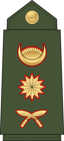 File:13.Nepalese Army-CAPT.svg