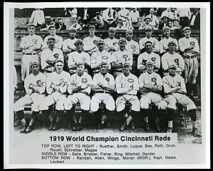 1919 World Champion Cincinnati Reds by Mountain Dreams