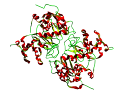 Lactalbumin (Bos taurus)