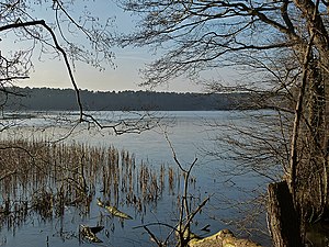 2015-01-18 Sidowsee Himmelpfort 049.jpg