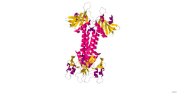 2VSZ.pdb1.png