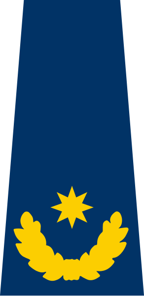 File:4. sınıf emniyet müdürü rank.svg