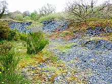 Ancien terril d'ardoises (ancienne carrière située entre Tréveller Vihan et l'allée couverte de Kervoulédic).