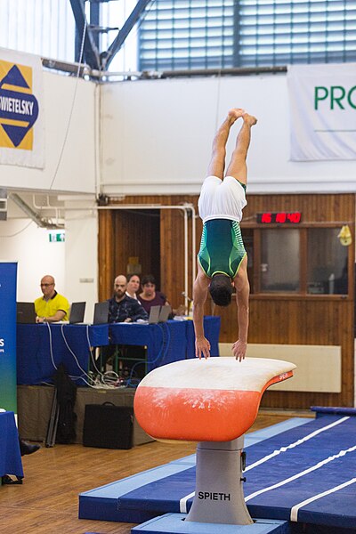 File:5th Budapest Cup 2019-05-25 Ali Kader Haque (Norman Seibert) - 06297.jpg