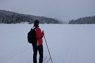 Frozen lake, Nordmarka, Oslo