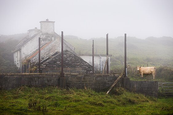 Abandoned house on Mizen Head