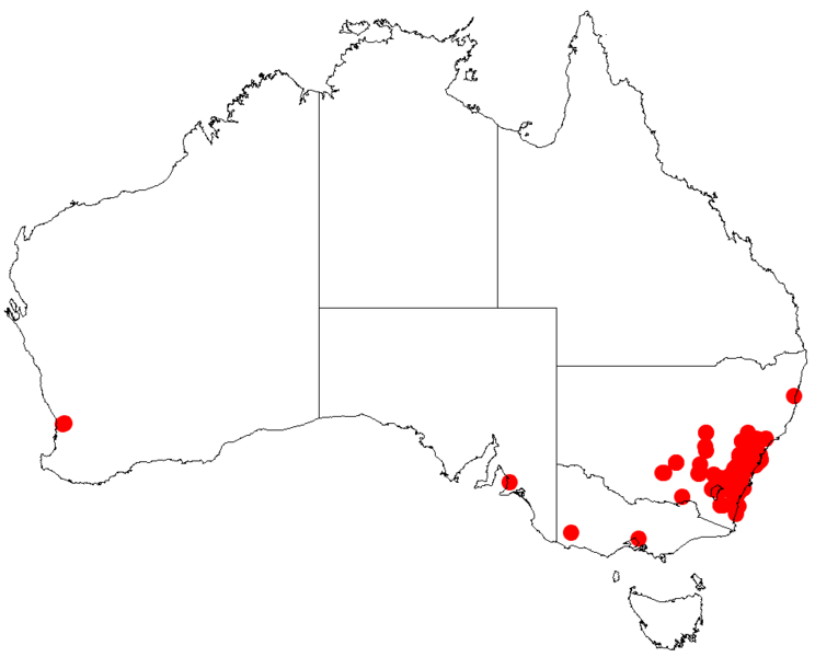 File:Acacia parramattensisDistMap674.png