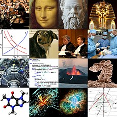 Academic disciplines (collage).jpg