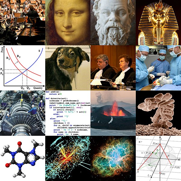 File:Academic disciplines (collage).jpg