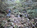 A farmer going to his wasabi fields to harvest. He sometimes must walk more than one hour to reach the fields on rough slopes of mountain trails along the valley. All he brings is a basket to carry the harvested wasabi.