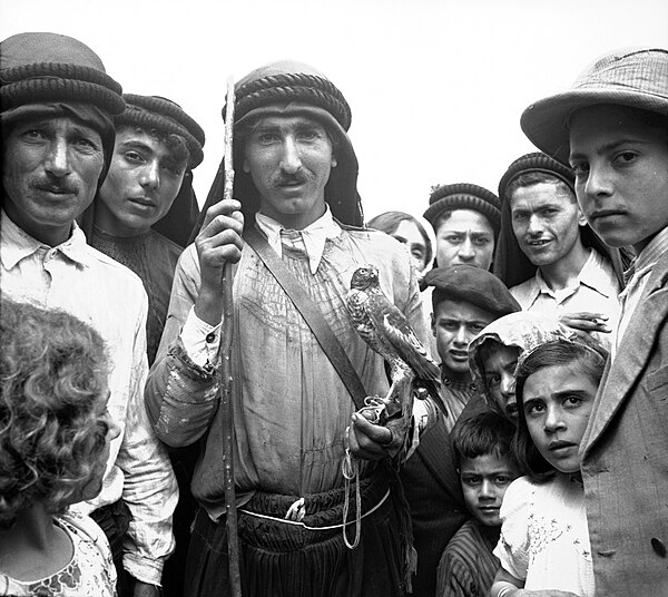 Alawite falconer photographed by Frank Hurley in Baniyas, Syria during World War II.