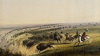 Альфред Джейкоб Міллер. Полювання на бізонів, до 1860