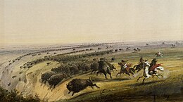 This painting by Alfred Jacob Miller exaggerates the portrayal of Plains Indians chasing buffalo over a small cliff Alfred Jacob Miller - Hunting Buffalo - Walters 371940190.jpg