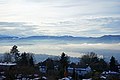 Ausblick Zürichberg