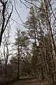 * Nomination Alum Creek State Park Hiking Trail -- Sixflashphoto 04:35, 21 November 2017 (UTC) * Promotion Beautiful nature of Ohio. Good quality. -- Johann Jaritz 07:25, 22 November 2017 (UTC)