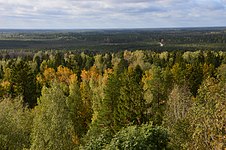 The forests of central Prossinia.