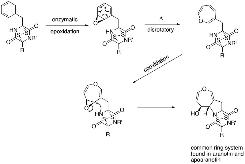 File:Aranotin.jpg