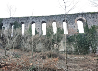 <span class="mw-page-title-main">Aqua Traiana</span> 1st-century Roman aqueduct from Lake Bracciano to Rome
