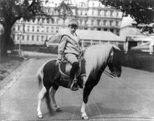 Archie riding Algonquin Archie Roosevelt poses with Algonquin 1902.jpg