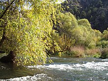 Arpa river.jpg