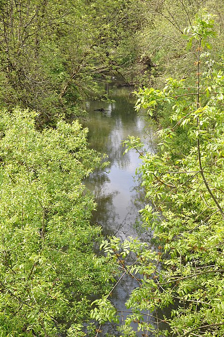 Ash creek in Independence