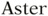 Aster font.png