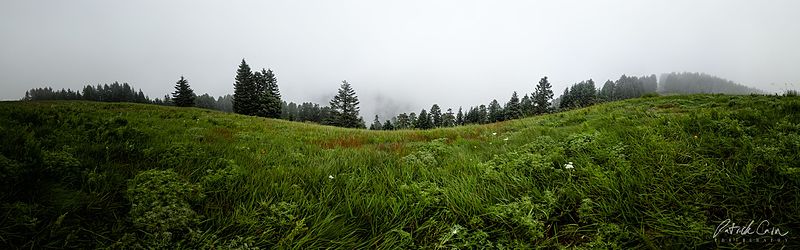 File:Atop Mary's Peak.jpg