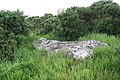 Auchlee Recumbent Stone Circle (5) (geograph 4551903).jpg