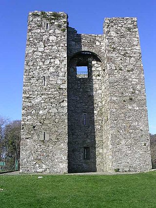 <span class="mw-page-title-main">Audley's Castle</span> Irish Norman ruined tower castle