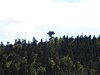 Lookout tower Oberfrauenwald.JPG