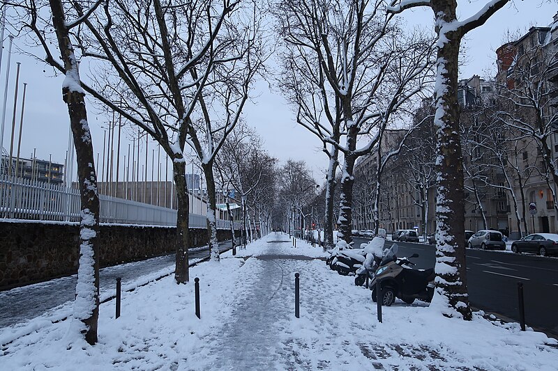 File:Avenue de Suffren neige.jpg