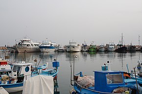 Ayia Napa Port (2010)