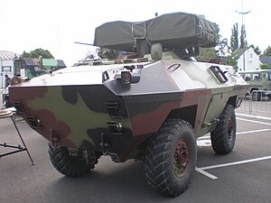 BOV-1 1.JPG