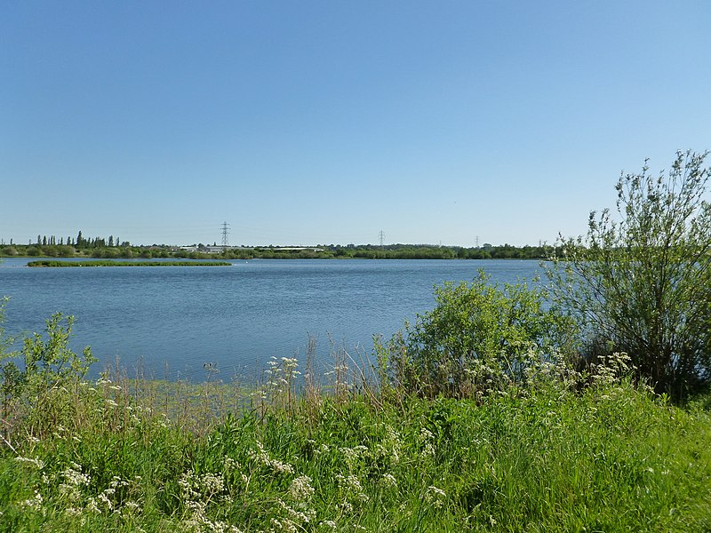 File:Backing off behind the trees - panoramio.jpg