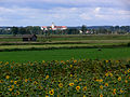 Blick nach Bad Buchau (ehem. Stift Bad Buchau mit ehem. Stiftskirche)