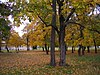 Bohatský park