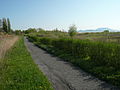 Radweg bei Balatongyörök