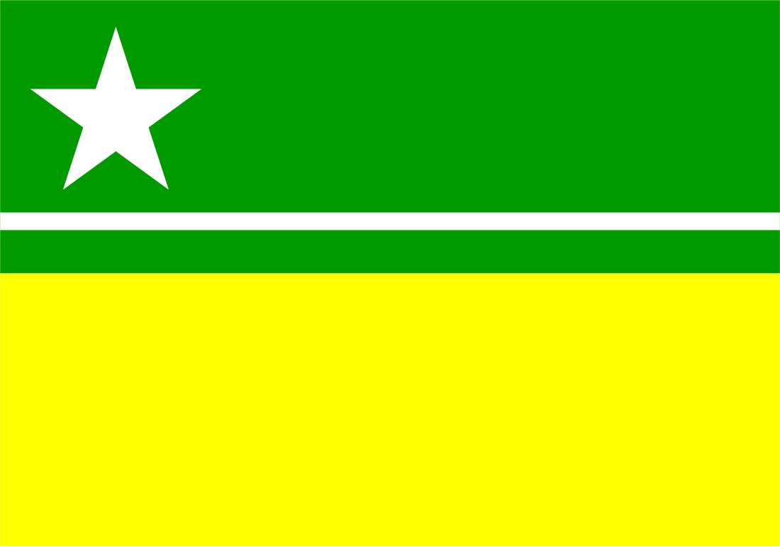 File:Bandeira de Boa Vista.svg