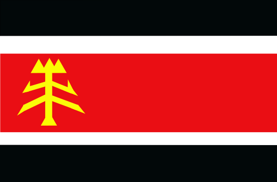 File:Bandera del MIM.svg