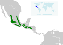 Distribución de B. belli