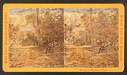 Miniatuur voor Bestand:Belmont Glen, by Cremer, James, 1821-1893 2.jpg