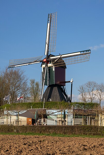 File:Bij Berg en Dal-Wercheren, de Thornse Molen IMG 0285 2024-03-25 16.57.jpg