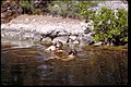 Biscayne National Park, Florida (ce927b40-c966-40f2-9d7c-925cb9210b17).jpg