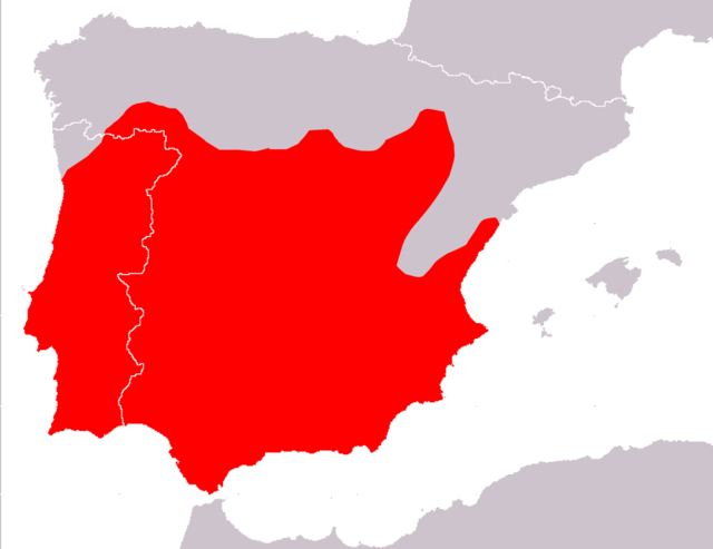 Distribución de Blanus cinereus en a peninsula Iberica