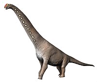 Brachiosaurus NT new.jpg
